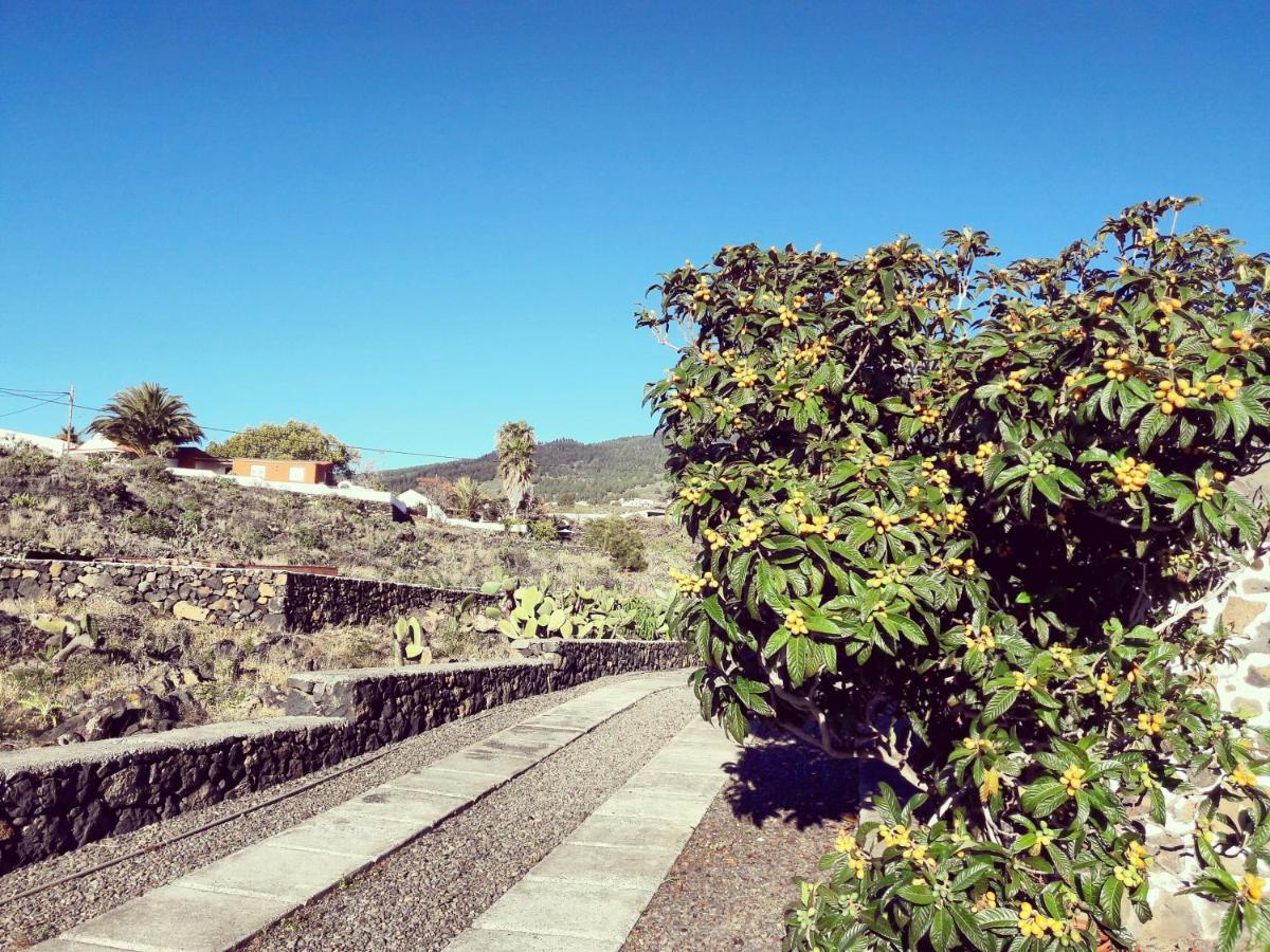Sea And Mountain View Apartment Los Llanos De Aridane Extérieur photo